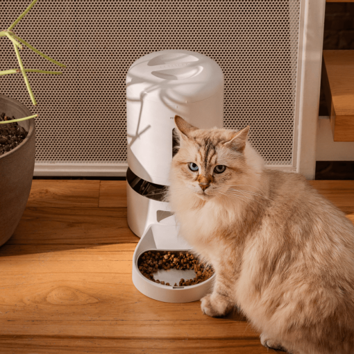 Petlibro Granary Smart Camera Feeder - Image 2