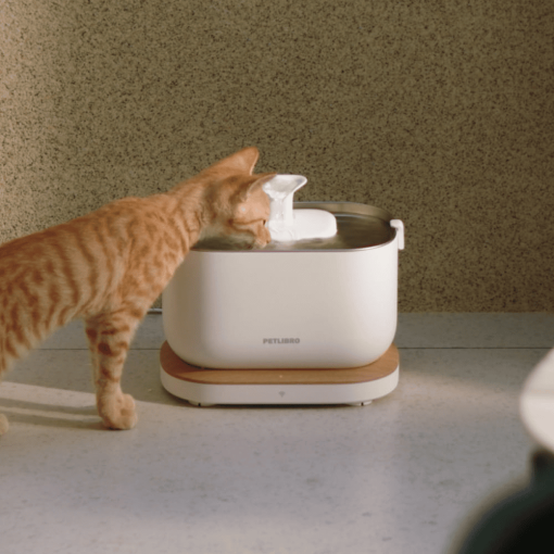 Petlibro Dockstream Smart Fountain - Image 2
