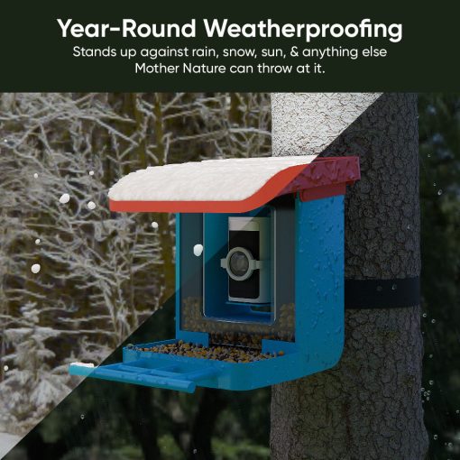 Bird Feeder Wireless Camera Bundle - Image 3