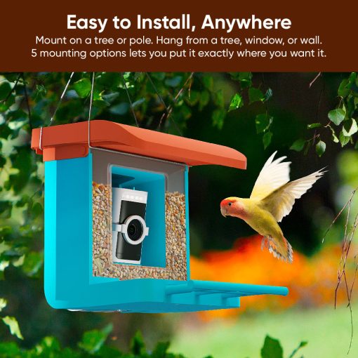 Bird Feeder Wireless Camera Bundle - Image 4