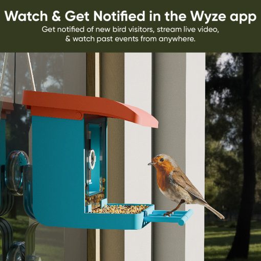Bird Feeder Wireless Camera Bundle - Image 7