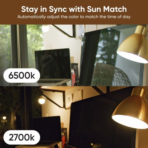 Wyze Bulb Color - Image 4
